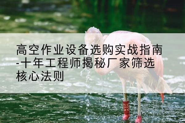 合阳剪叉式升降机厂家-高空作业设备选购实战指南-十年工程师揭秘厂家筛选核心法则