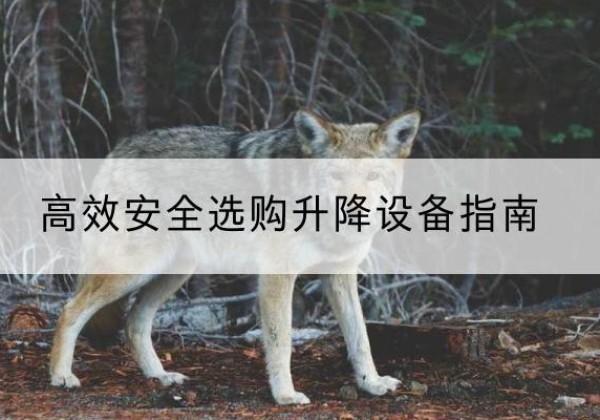 合阳升降货梯厂家推荐-*安全选购升降设备指南