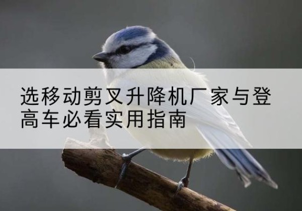 合阳电动升降机厂家-选移动剪叉升降机厂家与登高车必看实用指南