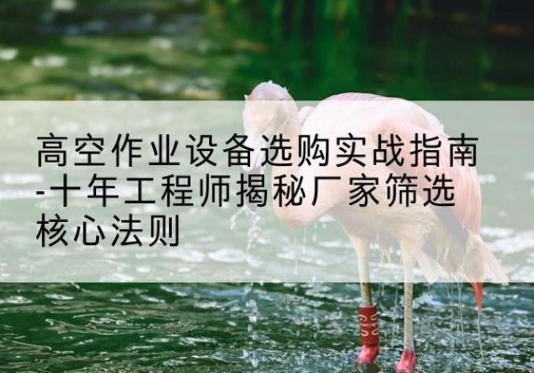 合阳剪叉式升降机厂家-高空作业设备选购实战指南-十年工程师揭秘厂家筛选核心法则