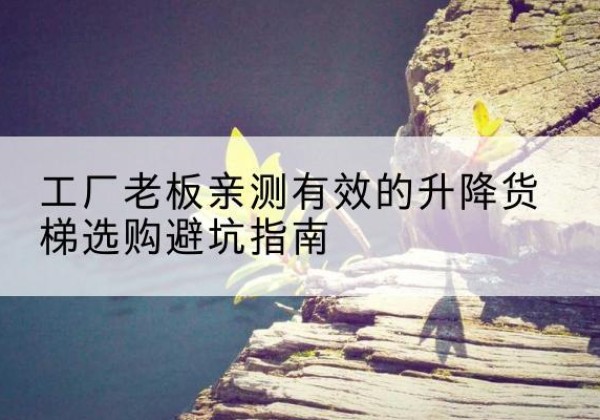 合阳升降货梯怎么选-工厂老板亲测有效的升降货梯选购避坑指南
